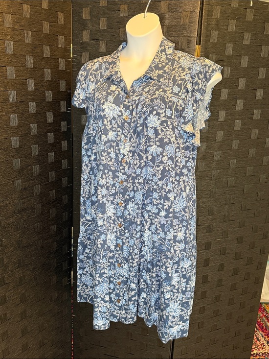 Lucky Brand Dresses & Skirts - Lucky Brand Blue and White Floral Button-Front Dress. 2X